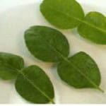 LIMON-kAFFIR-150x150